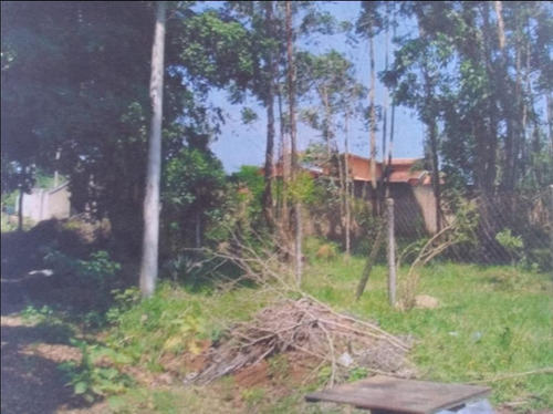 Imagem 7 de 8 de Terreno Amplo - Te2103