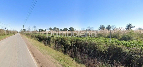 Imagen 7 de 17 de Terreno Fraccion En Venta Ubicado En Tigre, G.b.a. Zona Norte