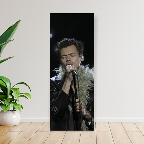 Cuadro Grande 30x80 Cm Musica Harry Styles Cantando Animeras