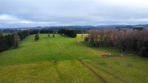 Agrícola En Venta En Paillaco