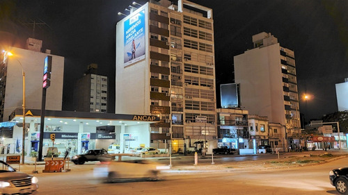 Imagen 25 de 25 de Alquilo Apartamento Parque Batlle 3 Dormitorios 2 Baños