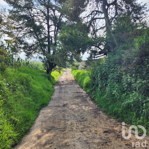Venta Terreno 0 Ambiente San Antonio Zoyatzingo