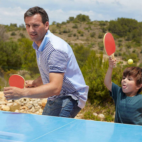 Juego De Ping Pong Todo En Uno, Incluye Red De Ping Pong
