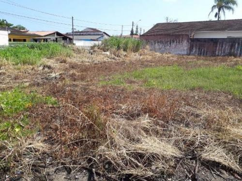 Imagem 2 de 4 de Excelente Terreno A 400 Metros Do Mar Em Itanhaém - 5881