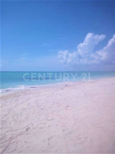 Imagen 5 de 22 de Terreno Con Hermosa Playa Para Desarrolladores En Isla Blanca Cancún C2509