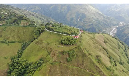 Venta Finca Productiva 132 Hectáreas Entre Pácora Y Salamina, Caldas