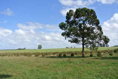 Campo En Venta