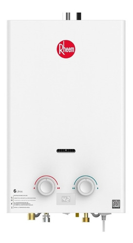 Calentador De Agua 6lt Gas Propano Tiro Forzado Rheem