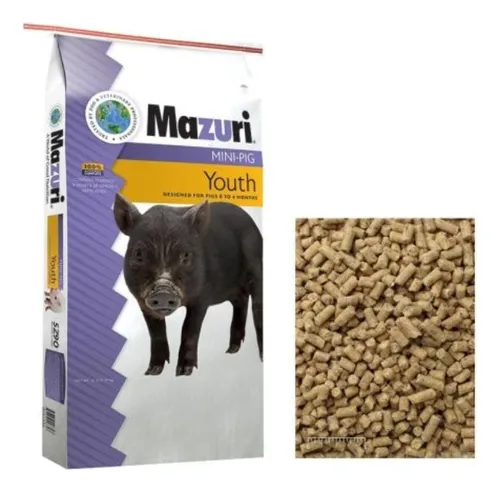 Mazuri mini pig youth online