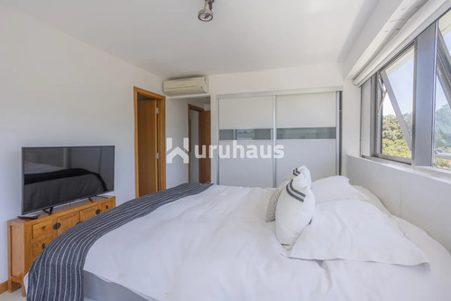 Alquiler Departamento 4 Dormitorios Playa Brava Blue Bird
