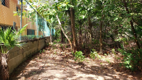 Imagen 19 de 29 de Terreno En Venta Punta Sam, Isla Mujeres