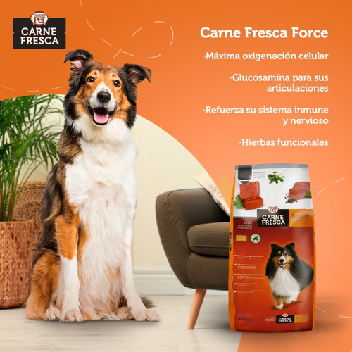 Grandpet Carne Fresca Force 4 Kg Super Premium Adult Med-gde