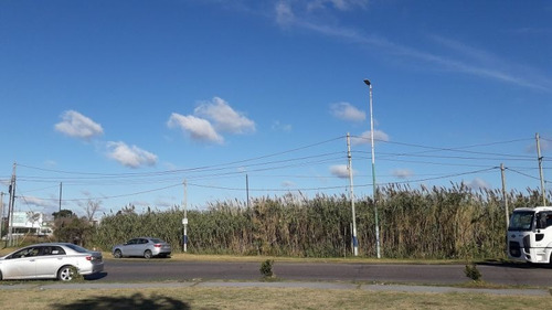 Imagen 5 de 6 de Av 520 Esq 19- Fracción 6.684 M2- Baum Propiedades
