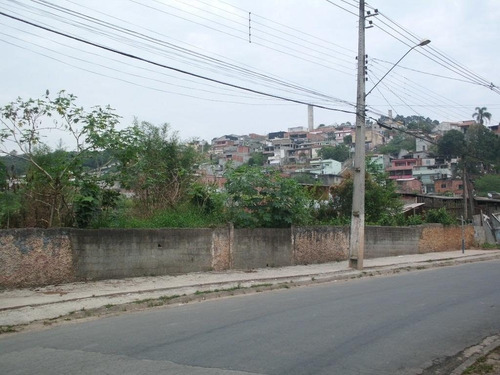 Imagem 14 de 15 de Terreno Em Jardim Luciana - Franco Da Rocha - 193