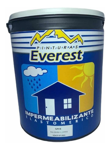 Pintura Impermeabilizante Elastomerica Gris Everest 1 Galón