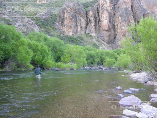 Campo En Venta De 635 Has Bariloche, Costa Del Pichileufu, Rio Negro.