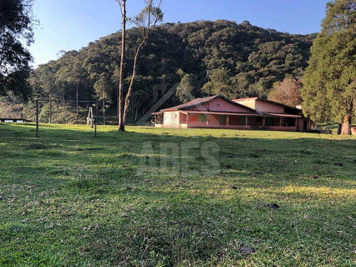 Imagem 7 de 30 de Sitio - St00010 - 69953800