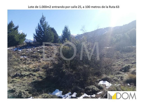Imagen 6 de 9 de Terreno - Meliquina