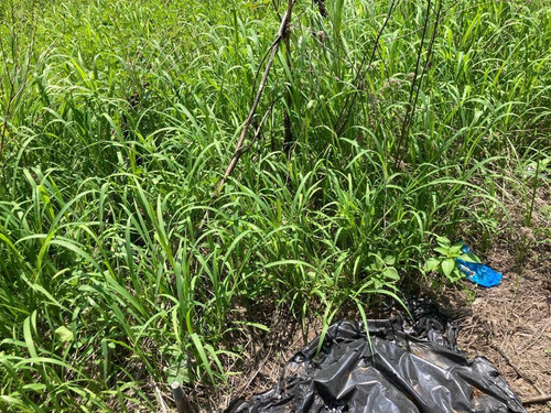 Imagen 7 de 14 de Terreno En Venta De 1305 M2. Blvd. Mayorazgo En León, Gto.