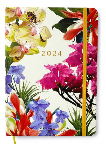 Agenda Planner 2024 Cicero Semanal Planejamento 17 X 24cm Cor da capa Joia Natural/Insecta Dia