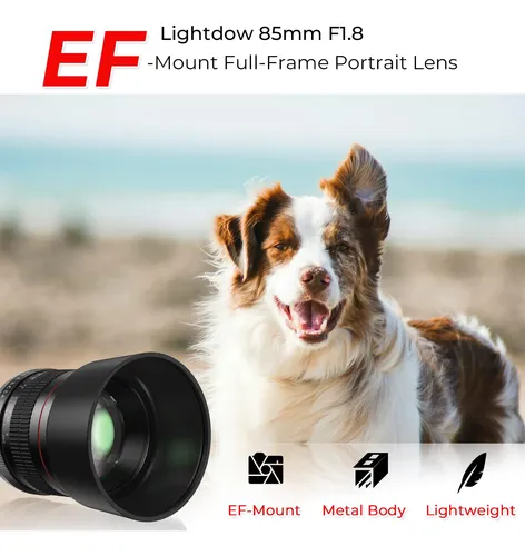 Lightdow for Canon EFレンズ 85mm F1.8 Objetiva Manual Lightdow 85mm F/1.8 Canon Ef Negro | MercadoLivre