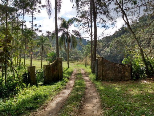 Imagem 6 de 30 de Sítio À Venda Em São Lourenço Da Serra; Sitio Com Piscina À Venda Em São Lourenço Da Serra Sp - 226 - 32982509