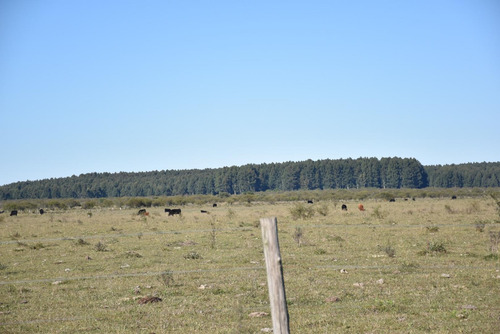 Imagen 20 de 22 de Campo Mixto En Venta Estación Yeruá