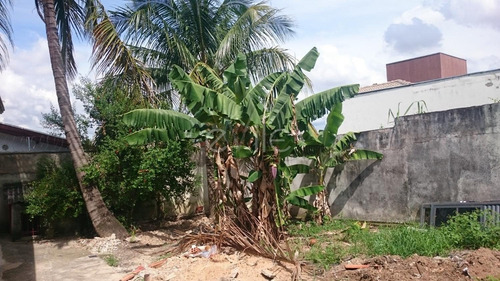 Imagem 11 de 27 de Casa À Venda Em Jardim Nova Esperança - Ca003487
