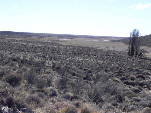 Imagen 10 de 15 de Venta Campo Productivo En La Pre-cordillera De 10623 Hectareas Cria De Ganado
