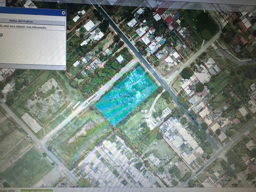 Terreno A Una Cuadra De Avenida Lezica Con Todos Los Servicios