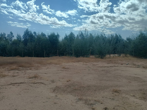 Terreno Sector Las Vertientes Comuna San Nicolás , Ñuble