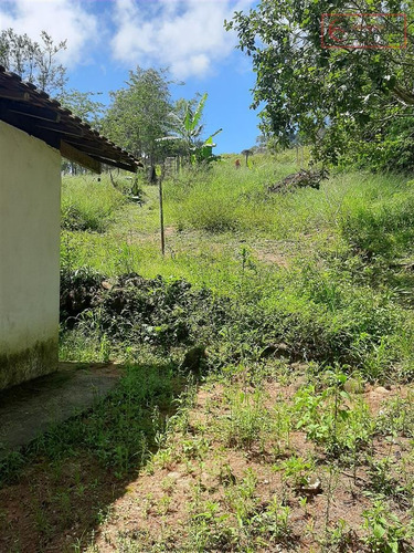 Imagem 26 de 29 de Chácaras À Venda Em Mairiporã/sp - Compre O Seu Chácaras Aqui! - 1491764