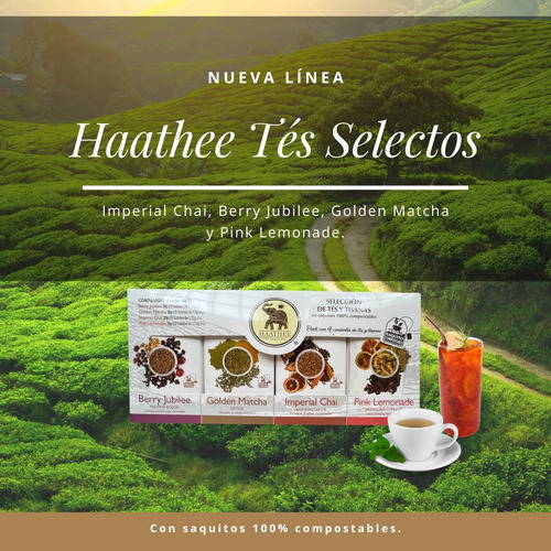 Te Verde 20 Sobres Refrescante Antioxidante Sin Cafeína