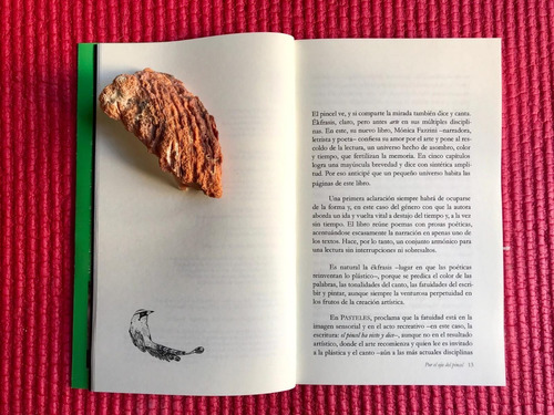 Imagen 5 de 8 de Por El Ojo Del Pincel - Mónica Fazzini