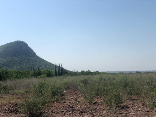 Terreno Ejidal En Tosalibampo, Ahome, Sin.
