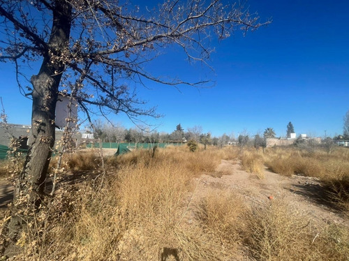 Imagen 6 de 7 de Venta Lote Calle Alzaga 4780 - Chacras De Coria