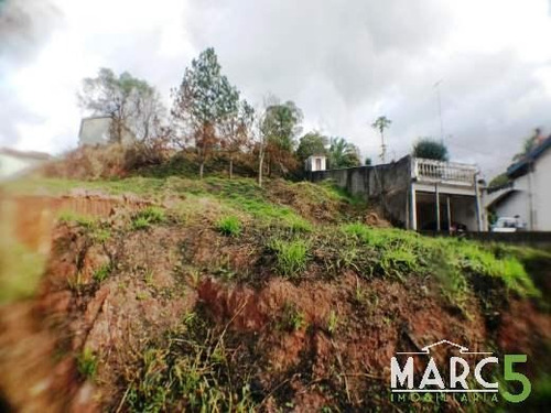 Imagem 4 de 17 de Terreno - Chacara Sao Jose - 1217