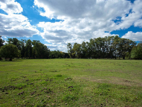 Imagen 3 de 9 de Chacra La Olvidada Altos De Areco