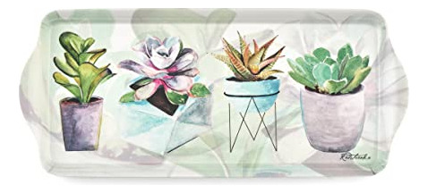 Charola Pimpernel De Suculentas | Melamina | 15.1puLG X
