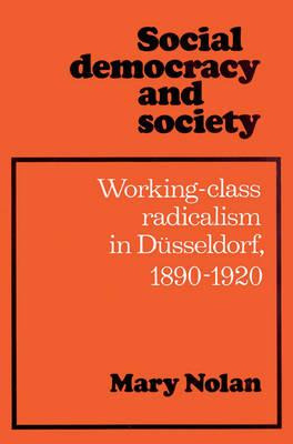 Libro Social Democracy And Society : Working Class Radica...