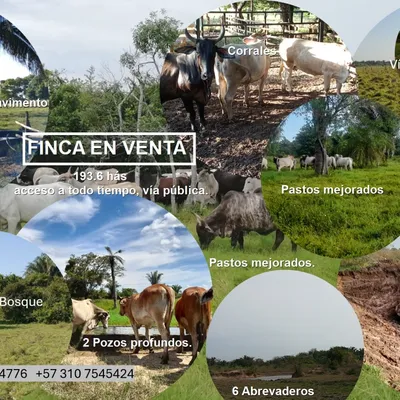 Finca en venta