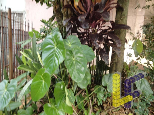 Terreno C/ Casa Antiga - B. Olimpico - 16728