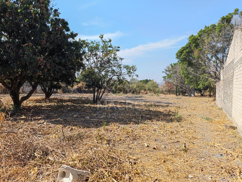 Terreno En Venta En Col. Gabriel Tepepa (ampliación Pesebres) Con Pozo De Agua.
