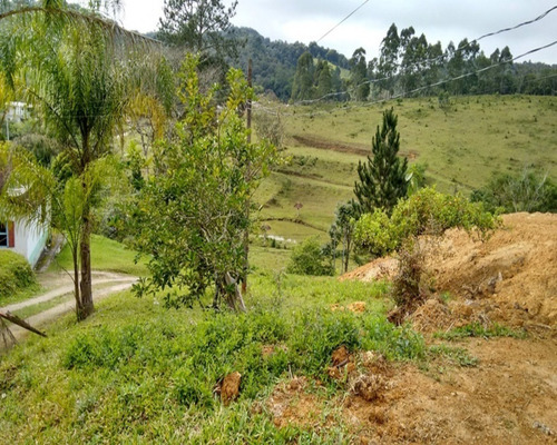 Imagem 3 de 14 de Chácara À Venda Em Juquitiba; Sitio À Venda Em Juquitiba - 107 - 32982642