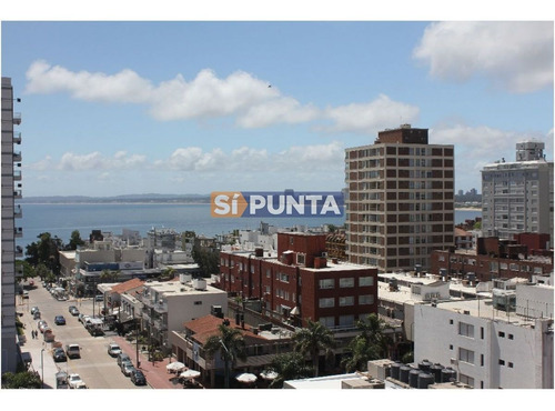 Imagen 7 de 30 de Apartamento En Alquiler Anual Zona De Península !!!