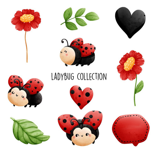 Clipart Vaquita De San Antonio Mariquita Ladybug Acuarela 10