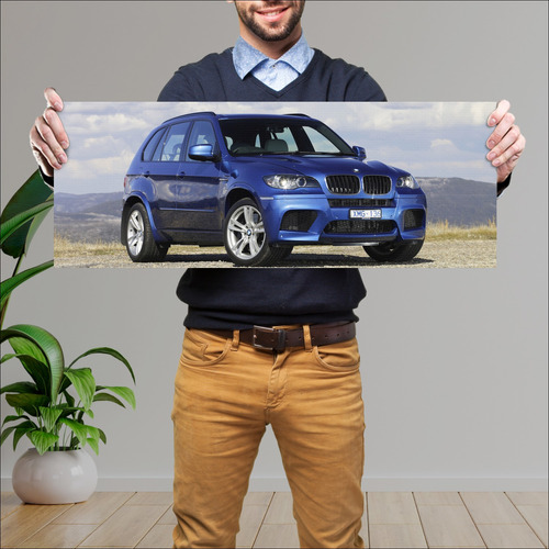 Cuadro 30x80cm Auto 2009 Bmw X5 M Au 81483 688