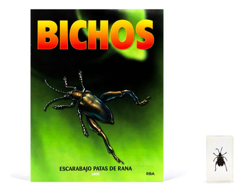 Colección Bichos #7 Escarabajo Patas De Rana Rba