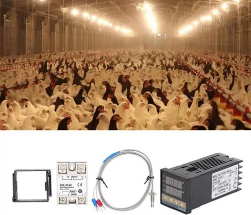 Controlador De Temperatura Digital Lcd Pid Rex-c100 + K