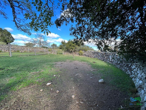 Imagen 7 de 24 de Lindo Campo Para Fraccionar, Sobre Ruta Y A Poco Mas De 1 Hora De Punta